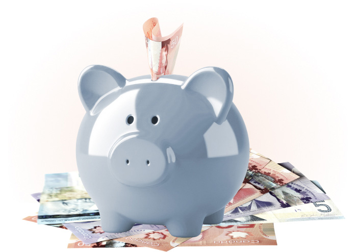 Piggy bank icon